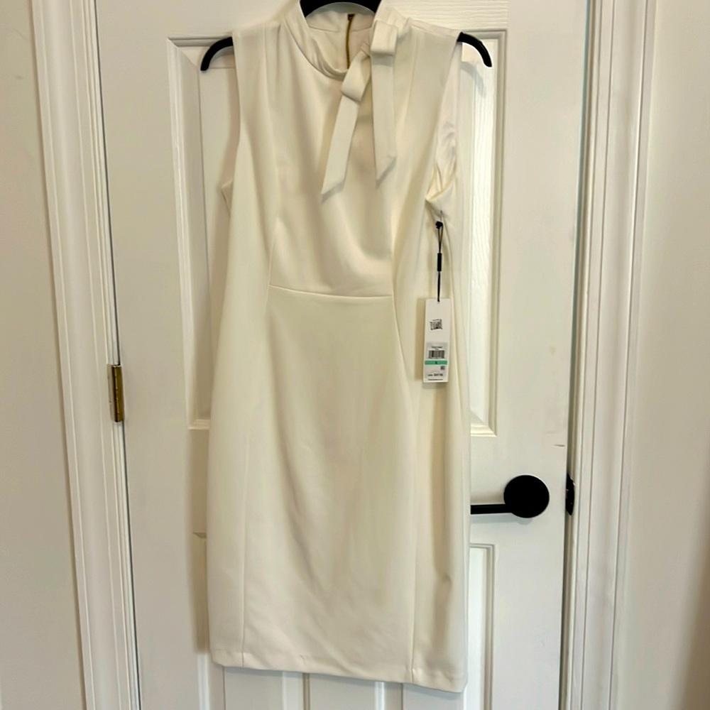 Calvin Klein sleeveless shirt dress